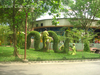 DSC00799.JPG