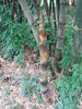 DSC00858.JPG
