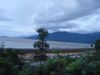 DSC02343.JPG