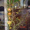 DSC03952.JPG