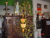 DSC03953.JPG