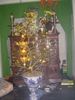 DSC04026.JPG