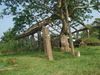 DSC04407.JPG