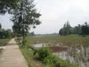 DSC04422.JPG