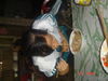 DSC07920.JPG