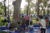 dsc04472ha8.jpg