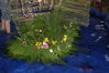 dsc04494od0.jpg